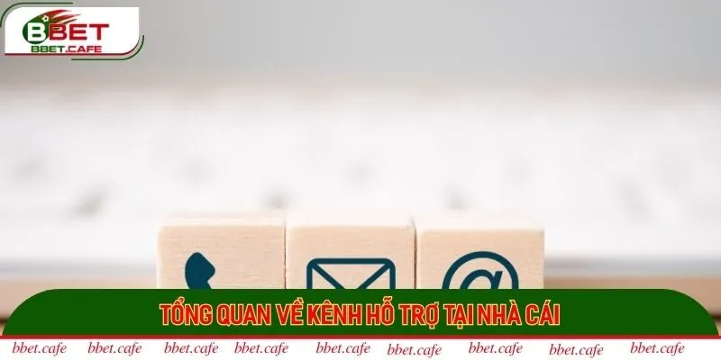 Tổng quan về kênh hỗ trợ tại nhà cái