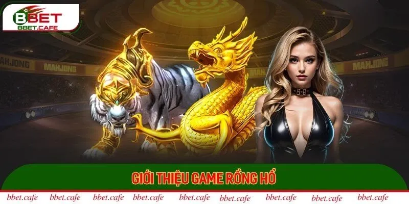Đôi nét về Rồng Hổ