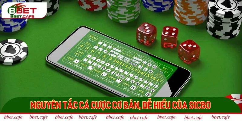 Nguyên tắc cá cược cơ bản, dễ hiểu của sicbo